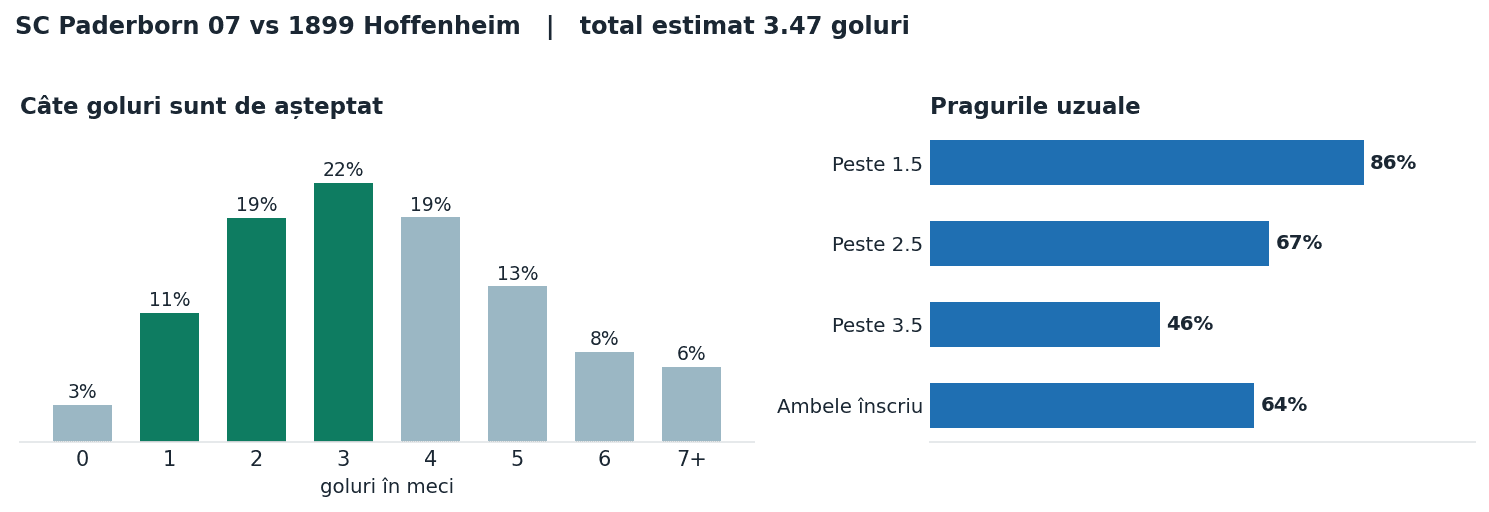 SC Paderborn 07 vs 1899 Hoffenheim: distribuția numărului de goluri și pragurile peste sub