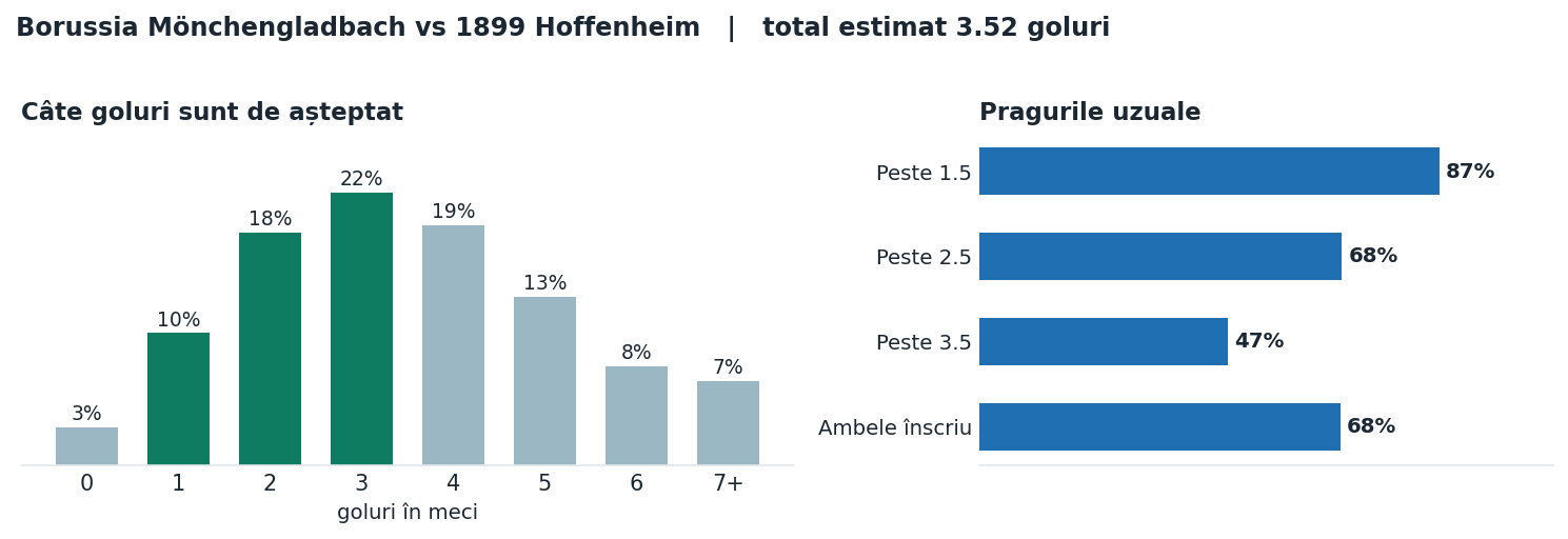 Borussia Mönchengladbach vs 1899 Hoffenheim: distribuția numărului de goluri și pragurile peste sub