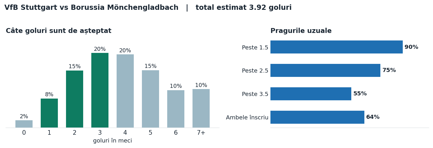 VfB Stuttgart vs Borussia Mönchengladbach: distribuția numărului de goluri și pragurile peste sub